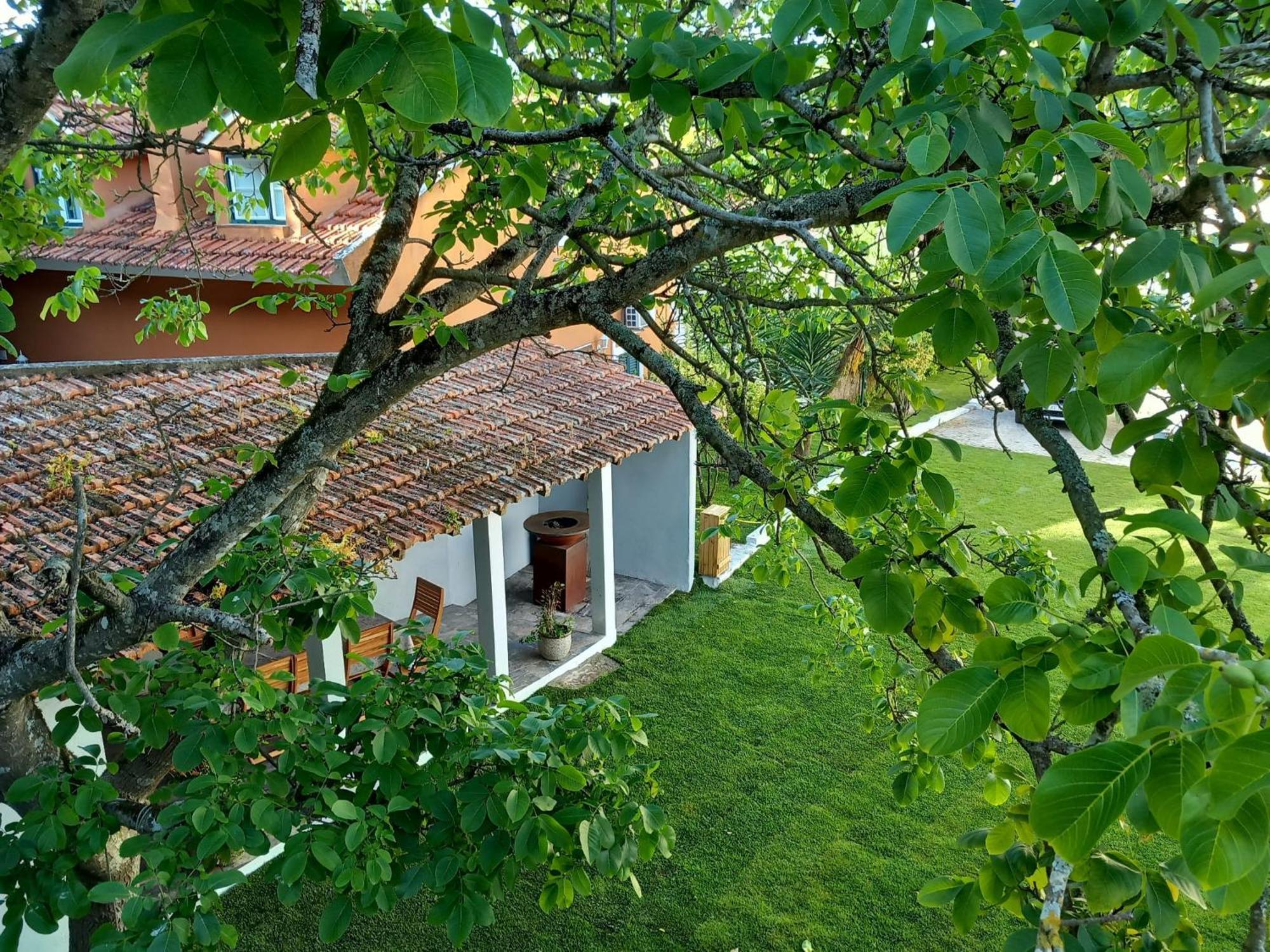 Villa In Sintra - Casa Da Penha Ferrim ภายนอก รูปภาพ