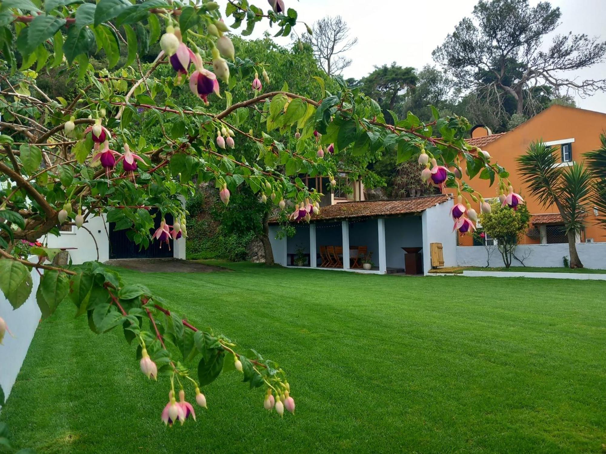 Villa In Sintra - Casa Da Penha Ferrim ภายนอก รูปภาพ
