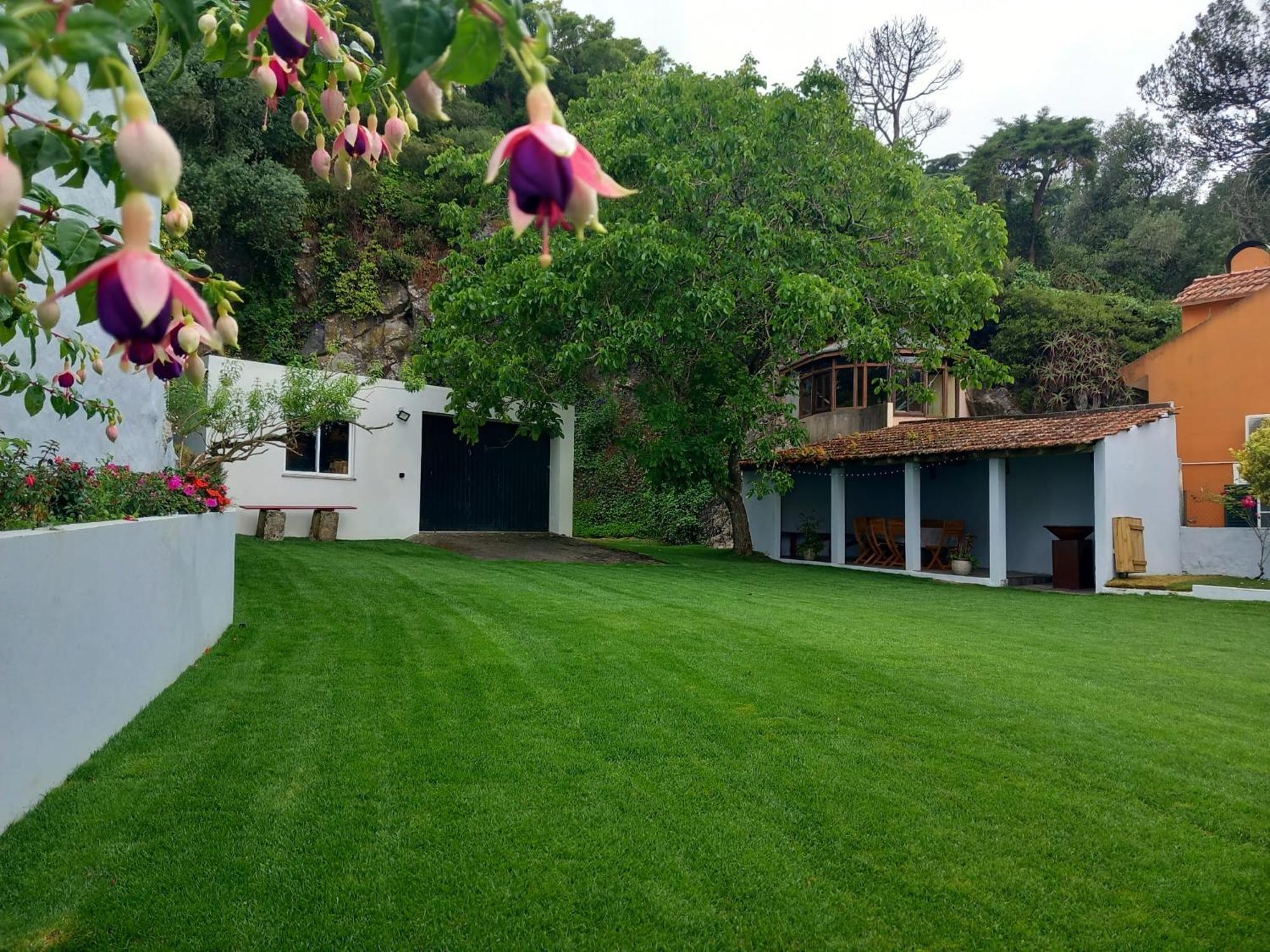 Villa In Sintra - Casa Da Penha Ferrim ภายนอก รูปภาพ